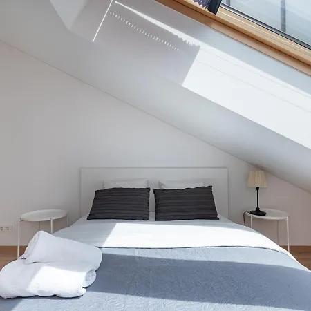 Spaciuos 1 Bd By Domvia Διαμέρισμα Κάουνας