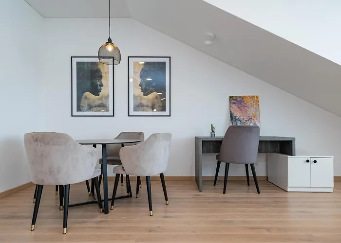 Spaciuos 1 Bd By Domvia Kaunas