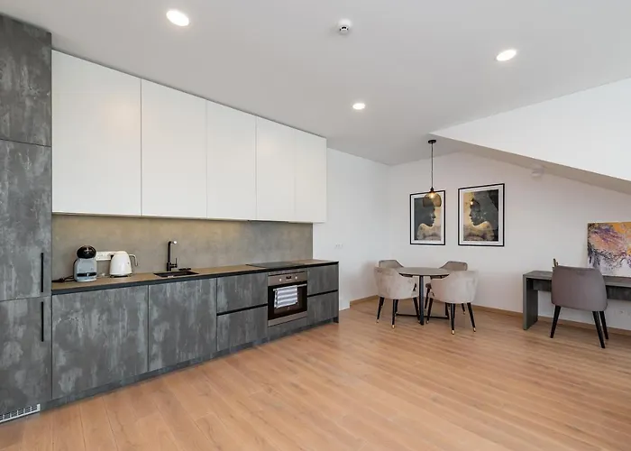 Spaciuos 1 Bd By Domvia Apartmán Kaunas